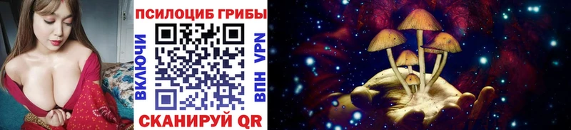 хочу наркоту  Соликамск  Псилоцибиновые грибы Psilocybine cubensis 