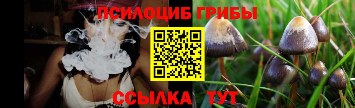 Псилоцибиновые грибы мухоморы Соликамск